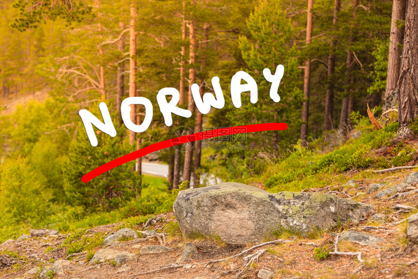 挪威自然绿林图片