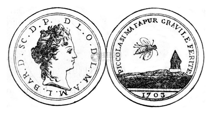 蜜蜂的顺序1845年的马加辛皮托罗克图片