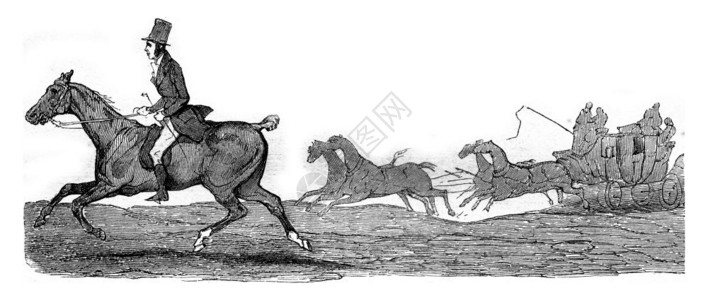 Kob小马半血种与波士顿的高速后备车搏斗3里1845年马加辛皮托罗克图片