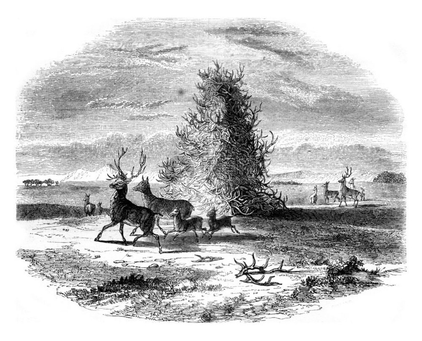 密苏里河上游的金字塔山1845年的马加辛皮托雷斯克图片