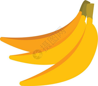 一堆黄色香蕉矢量颜图画或插图片
