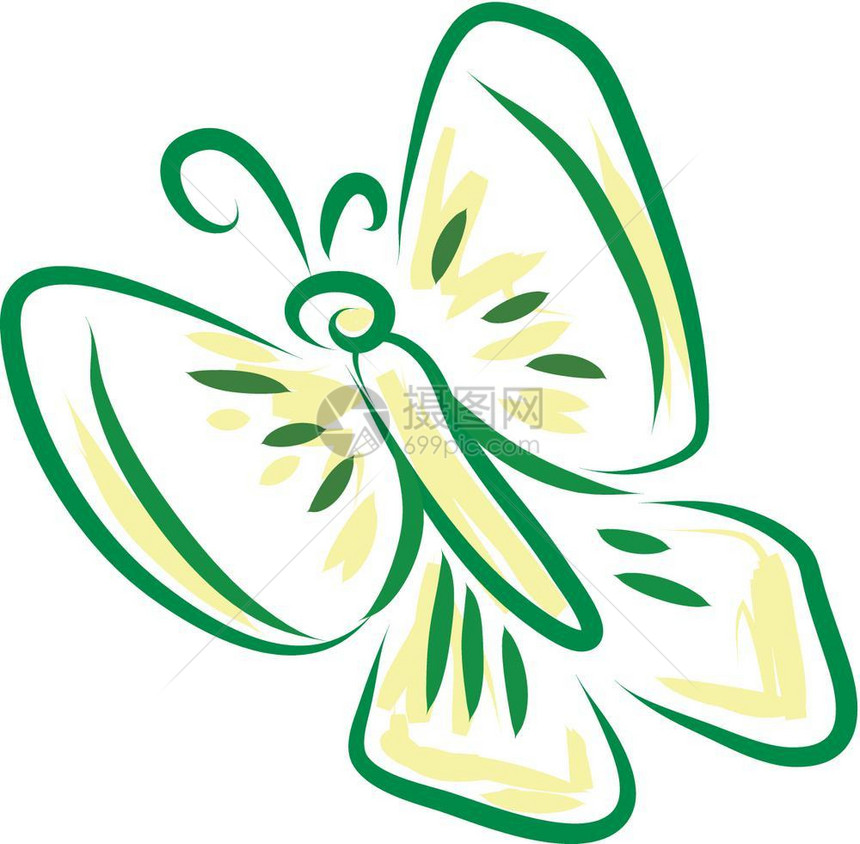 绿色和黄蝴蝶矢量颜绘画或插图图片
