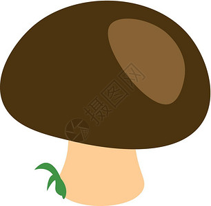 带有巨型绿色顶和植物的蘑菇其侧向矢量颜色图画或插图片