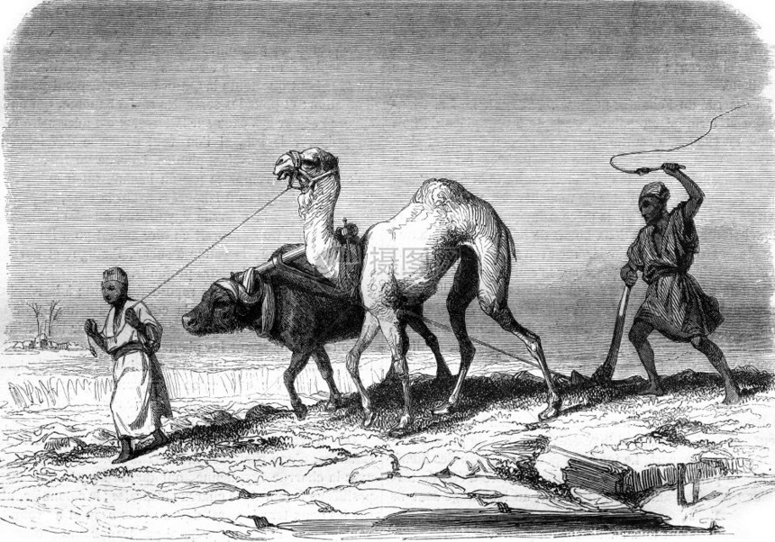 埃及的播种场景1847年的MagasinPittoresque图片