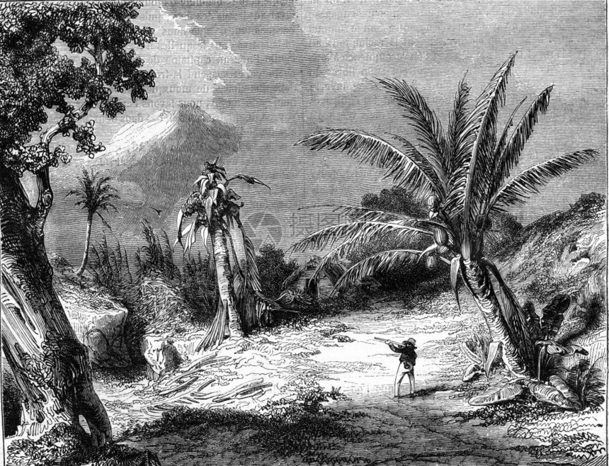 瓜德罗普的景观1847年马加辛皮托雷克古代刻画图图片