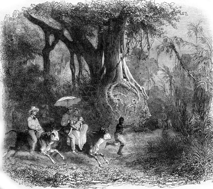 古巴岛Baracoa附近的景观1857年MagasinPittoresque1857年图片