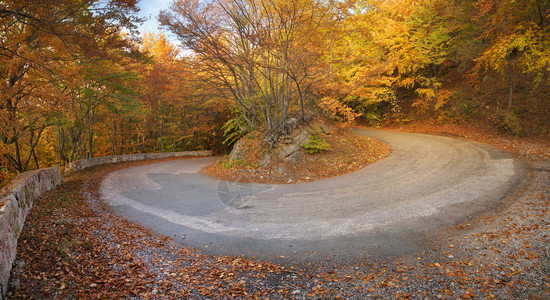 秋季峡谷的公路全景自然游荡成形图片