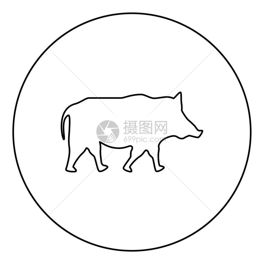 圆形的野猪圆形图示黑色矢量说明平板风格简单图像图片