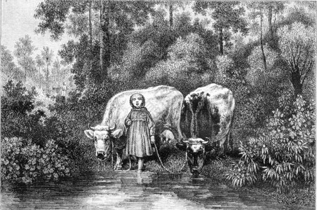 1857年的绘画展览水洞的牛群1857年的马加辛皮托雷斯克图片