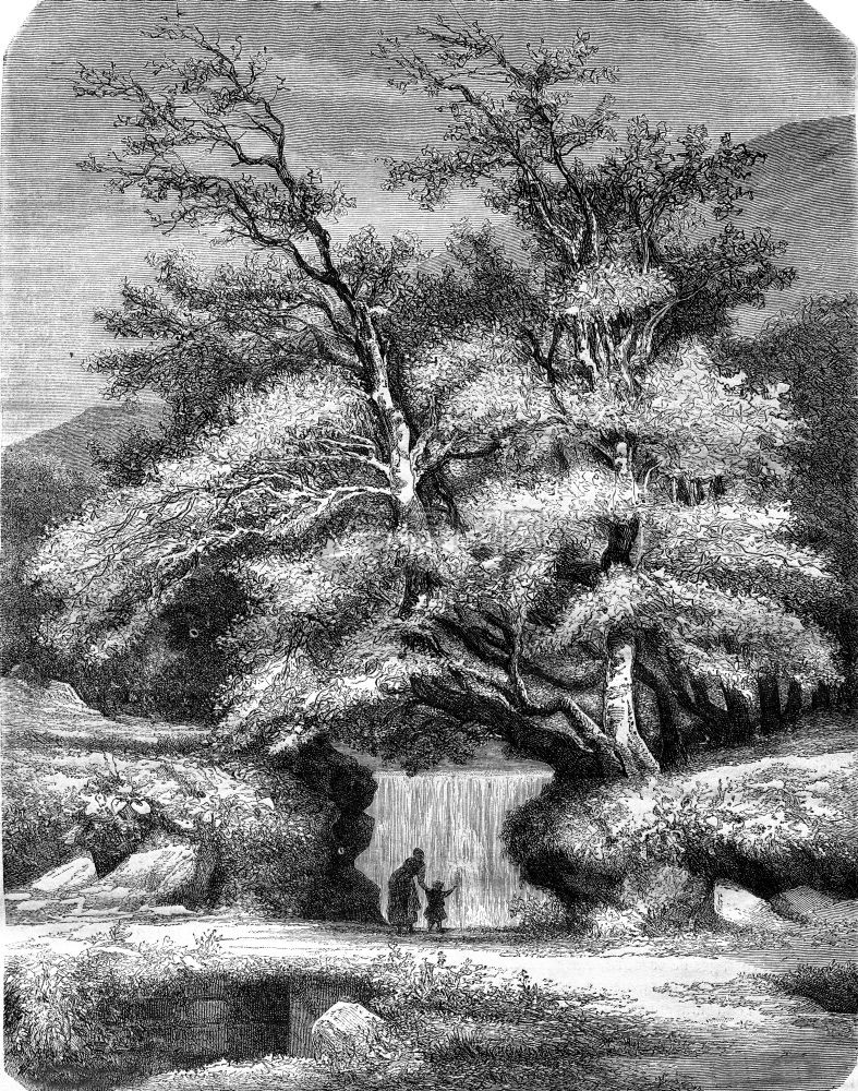 LysValley1869年的MagasinPittoresque图片