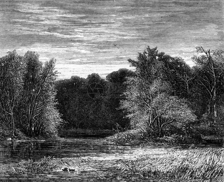 宾夕法尼亚州Lehigh边缘的森林1869年的MagasinPittoresque图片