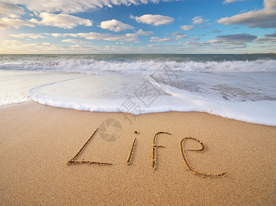 海沙上有生命之言概念自然设计图片