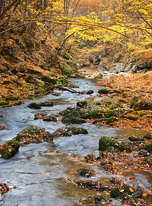 秋天风景自然的构成河流进入峡谷背景图片