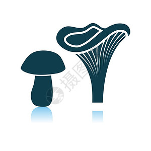 香菇图标灰色背景上的蘑菇图标阴影反射设计矢量说明背景