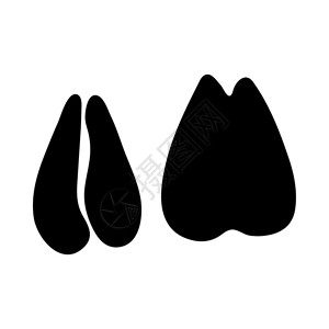 Saiga脚印黑色硅粉设计矢量说明高清图片