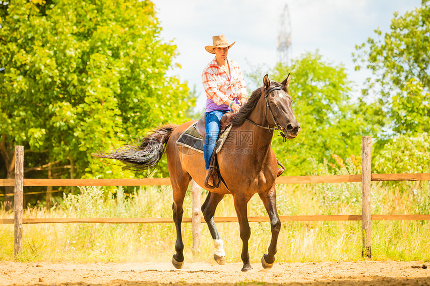 牛仔女孩在乡间草地骑马外面阳光明媚牛仔女孩在乡间草地骑马图片