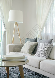 室内舒适式客厅有沙发和立灯图片