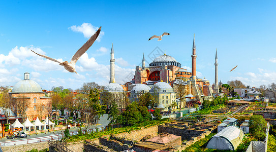 苏丹纳米特土耳其伊斯坦布尔的海鸥和索菲亚节日背景