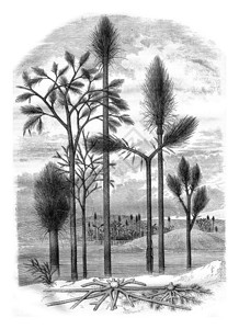 原始世界的景观187年的马加辛皮托罗克图片