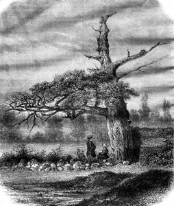 版雷恩加尔亨利四世的橡树在雷恩附近187年的马加辛皮托罗尔克背景
