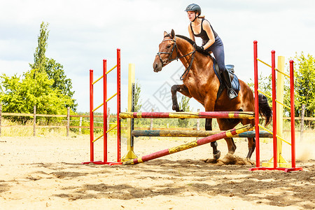 年轻的女骑马师培训马跳过围栏高清图片
