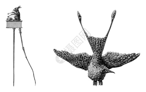 科学玩具古老的雕刻插图180年的马加辛皮托罗尔克图片