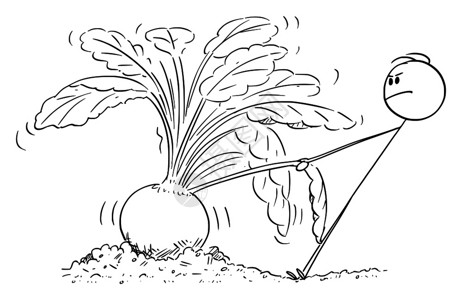 克久拉霍矢量卡通棒图绘制农民或园丁试图拔出巨型或大甜菜的概念插图插画