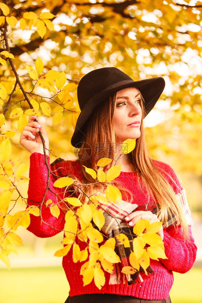 美丽的年轻女子在秋天公园行走时装女孩穿着红色毛衣围巾和黑帽子穿着红色围巾和黑帽子在秋天公园行走的迷人女子在秋天公园行走图片
