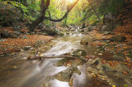 秋天风景自然的构成河流进入峡谷背景图片