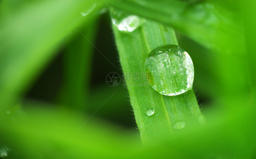 雨滴的宏自然构成图片