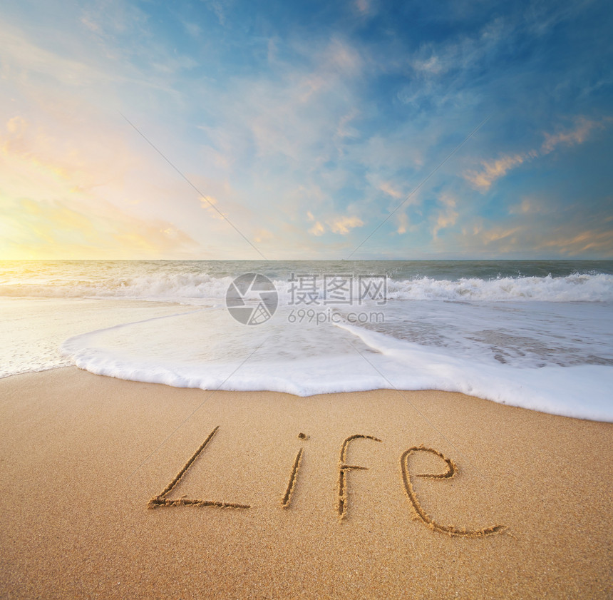 海沙上有生命之言概念自然设计图片
