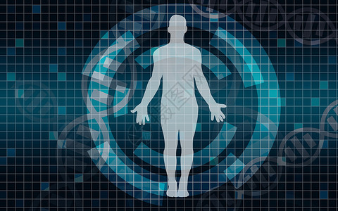 蓝色背景的人体身医疗扫描3D图片