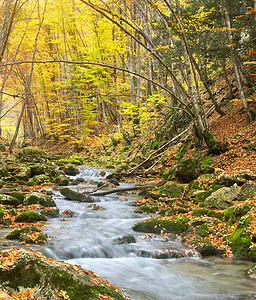 秋天风景自然的构成河流进入峡谷图片