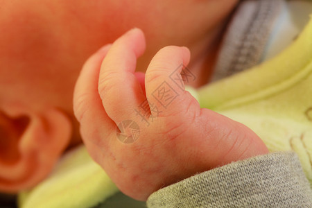 儿童婴护理育身体细节概念小新生婴儿手贴图片