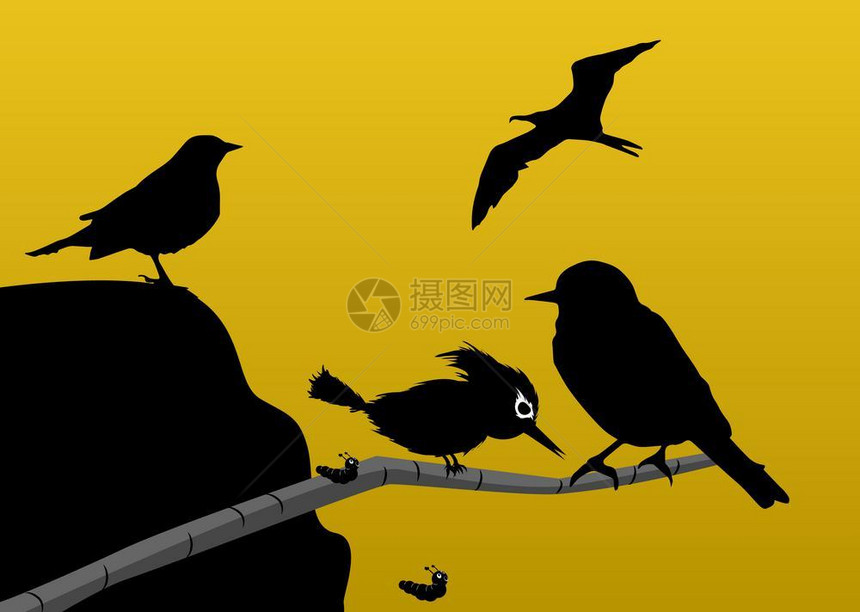 Birds光影矢量说明图片