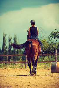 骑马的女孩在乡间草地骑马外面阳光明媚的一天骑马女孩在乡间草地骑马图片