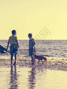 假期兄弟在海边和小狗玩耍图片