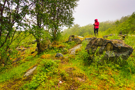挪威斯堪的纳维亚州绿色夏季山寒冷的雨日挪威斯堪的纳维亚图片