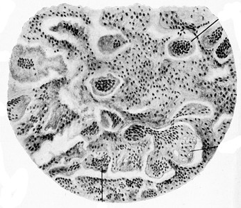 巨型细胞沙科马刻有古代画的插图高清图片