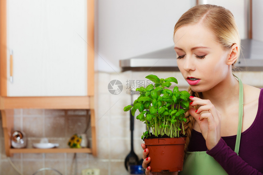 厨房里的妇女在锅装着绿色新鲜的烤肉年轻家庭主妇准备做饭健康饮食烹饪素饮和人的概念厨房里妇女在锅装着绿色新鲜的烤肉图片