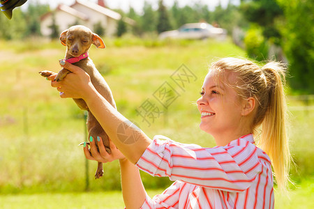 在草地上和拥抱小狗女人在野外玩图片
