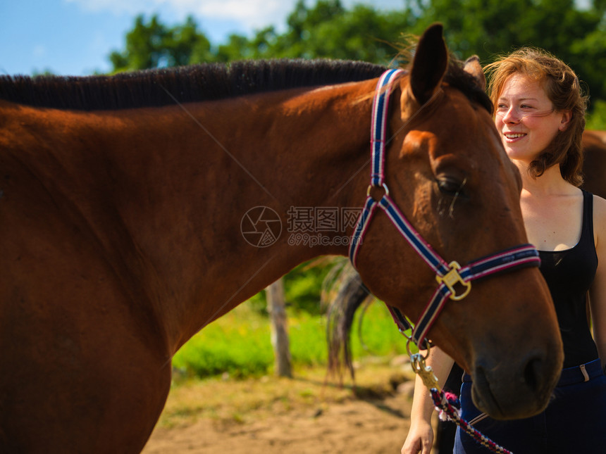 照顾动物爱和友谊的概念骑马年轻女孩在阳光明媚的一天抚摸棕色马骑的年轻女孩抚摸棕色马图片