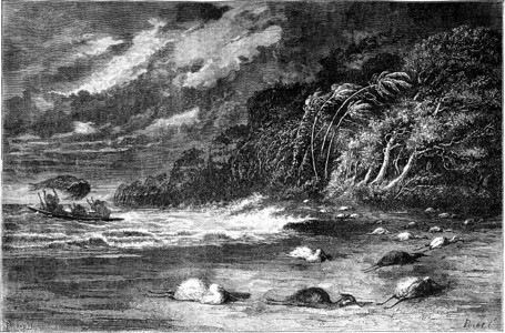 乌卡亚利河上的Gale世界之旅行日报1865年高清图片