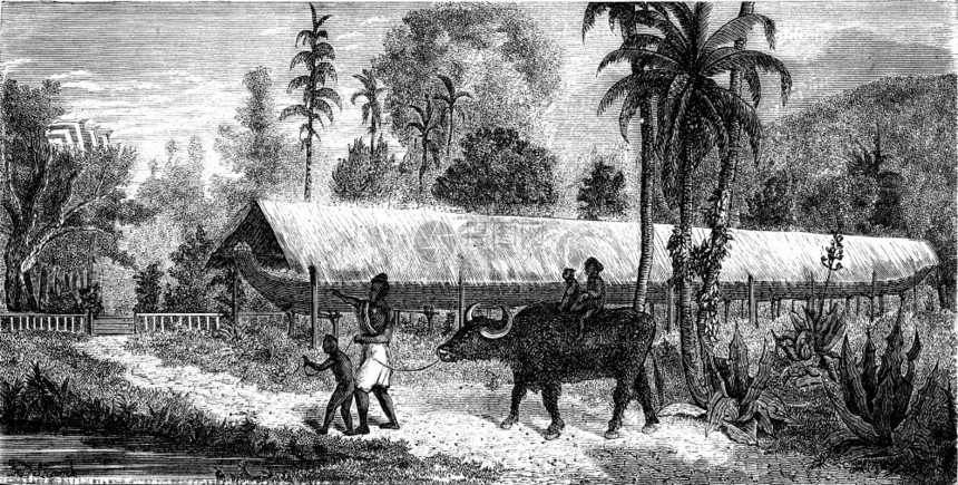 世界旅行日报1872年图片