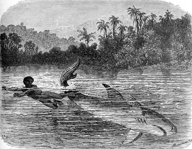 河里游泳的人环球旅行杂志1872年背景