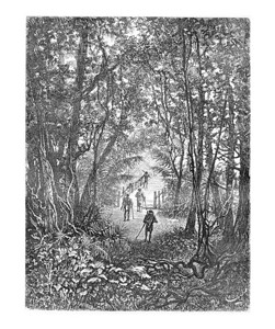 小博士素材在巴西奥亚波克Oiapoque的丛林中跨越一座小桥由Riou从Craevaux博士的草图中绘制刻的古典插图背景