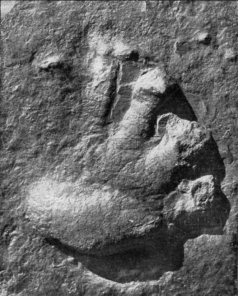 二次时代大陆脊椎脚足的印古老刻图来自宇宙和人类190年图片