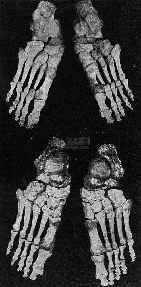 人右脚和左的骨骼刻着古老的图解来自宇宙和人类190年图片