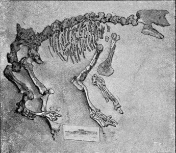 190年宇宙与人类图片