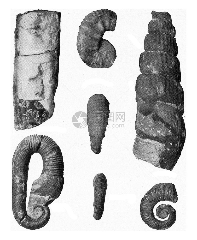 190年宇宙与人类中的白代形色的古代雕刻图解图片